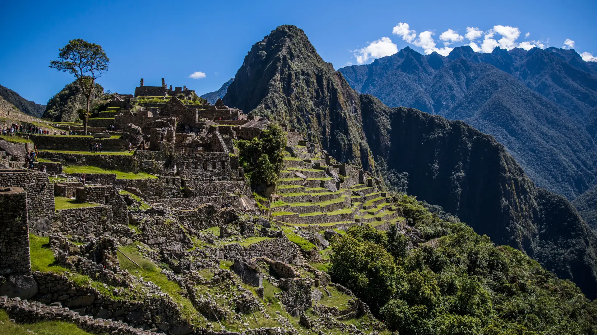 Discover the Wonder of Machu Picchu